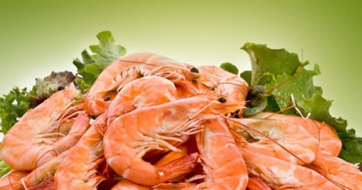 Karides Balığı Kullanımı ve Faydaları Nelerdir?