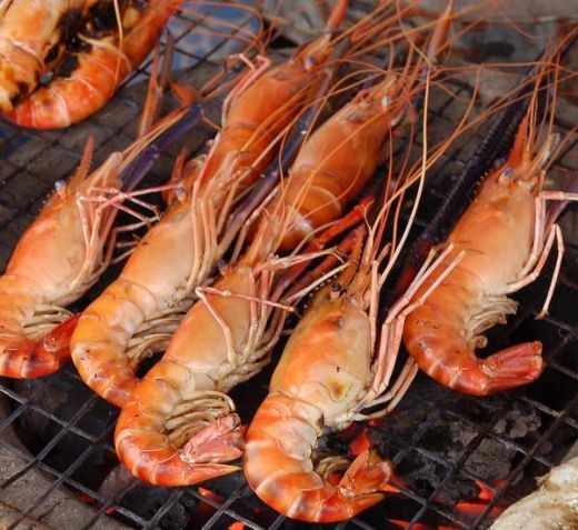 Karidesin Faydaları Nelerdir?